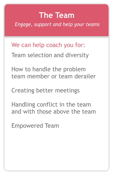 We can help coach you for: Team selection and diversity  How to handle the problem team member or team derailer  Creating better meetings  Handling conflict in the team and with those above the team  Empowered Team  The Team Engage, support and help your teams