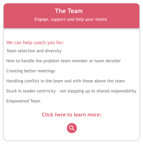 The Team Engage, support and help your teams   We can help coach you for: Team selection and diversity  How to handle the problem team member or team derailer  Creating better meetings  Handling conflict in the team and with those above the team  Stuck in leader-centricity – not stepping up to shared responsibility  Empowered Team  Click here to learn more: