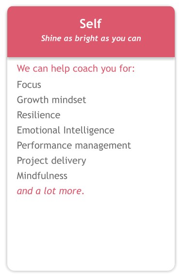 Self Shine as bright as you can  We can help coach you for: Focus Growth mindset Resilience 	 Emotional Intelligence Performance management  Project delivery Mindfulness and a lot more.